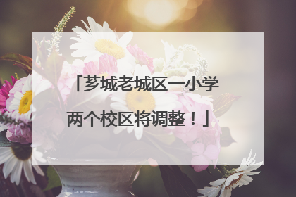 芗城老城区一小学两个校区将调整！