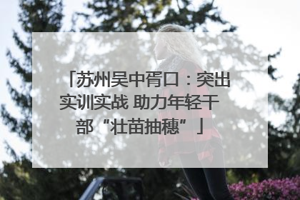 苏州吴中胥口：突出实训实战 助力年轻干部“壮苗抽穗”