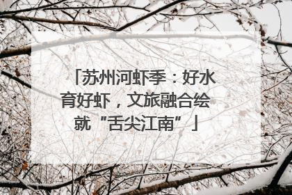 苏州河虾季：好水育好虾，文旅融合绘就“舌尖江南”