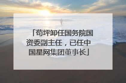 苟坪卸任国务院国资委副主任，已任中国星网集团董事长
