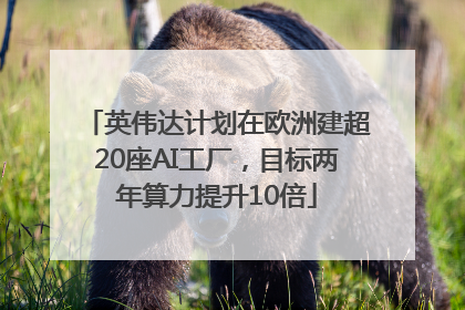 英伟达计划在欧洲建超20座AI工厂，目标两年算力提升10倍