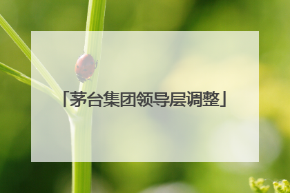 茅台集团领导层调整