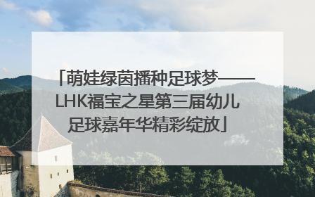 萌娃绿茵播种足球梦——LHK福宝之星第三届幼儿足球嘉年华精彩绽放