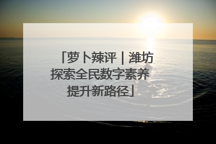 萝卜辣评｜潍坊探索全民数字素养提升新路径