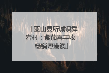 蓝山县所城镇舜岩村：紫茄喜丰收 畅销粤港澳