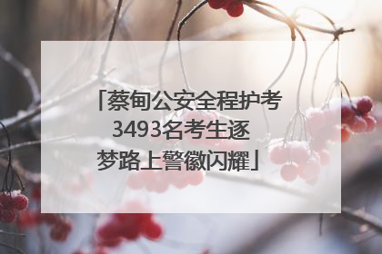 蔡甸公安全程护考 3493名考生逐梦路上警徽闪耀