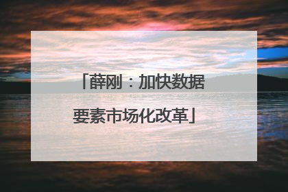 薛刚：加快数据要素市场化改革