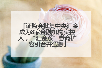 证监会批复中央汇金成为8家金融机构实控人，“汇金系”券商扩容引合并遐想
