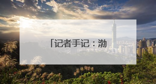 记者手记：渤海湾畔盐碱滩变身“新粮仓”