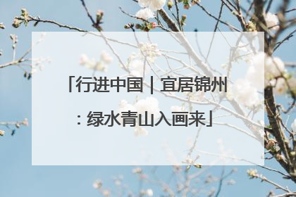 行进中国｜宜居锦州：绿水青山入画来