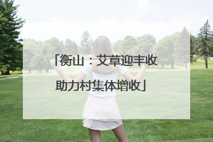 衡山：艾草迎丰收 助力村集体增收