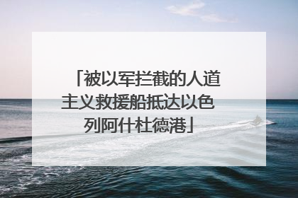 被以军拦截的人道主义救援船抵达以色列阿什杜德港