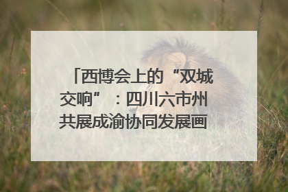 西博会上的“双城交响”：四川六市州共展成渝协同发展画卷｜西博视界