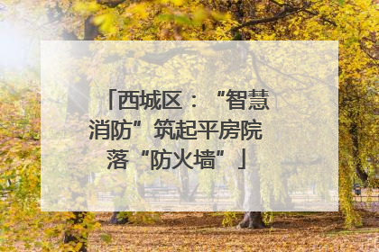 西城区：“智慧消防”筑起平房院落“防火墙”