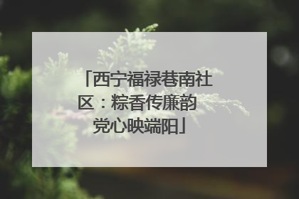 西宁福禄巷南社区：粽香传廉韵 党心映端阳