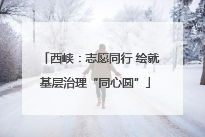 西峡：志愿同行 绘就基层治理“同心圆”