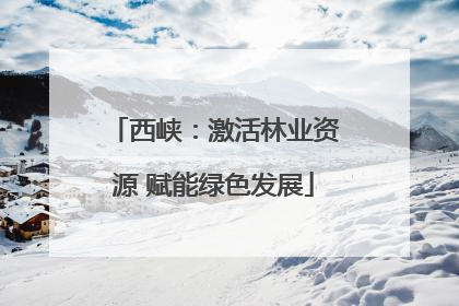 西峡：激活林业资源 赋能绿色发展
