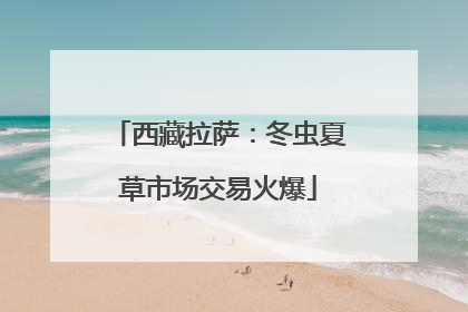 西藏拉萨：冬虫夏草市场交易火爆