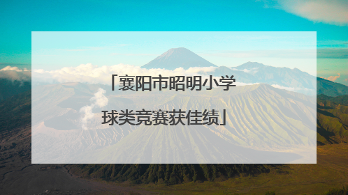 襄阳市昭明小学球类竞赛获佳绩