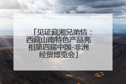 见证藏湘兄弟情：西藏山南特色产品亮相第四届中国-非洲经贸博览会