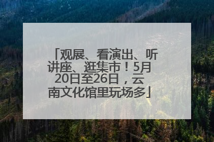 观展、看演出、听讲座、逛集市！5月20日至26日，云南文化馆里玩场多