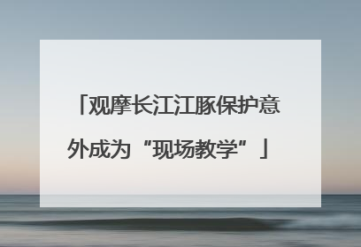 观摩长江江豚保护意外成为“现场教学”