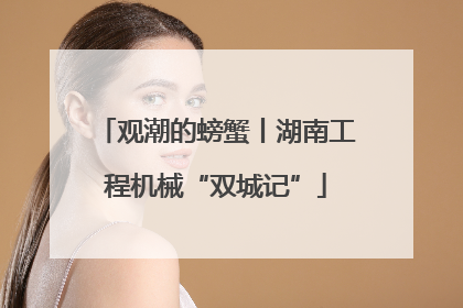 观潮的螃蟹丨湖南工程机械“双城记”