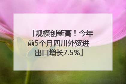 规模创新高！今年前5个月四川外贸进出口增长7.5%