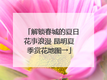 解锁春城的夏日花事浪漫 昆明夏季赏花地图→