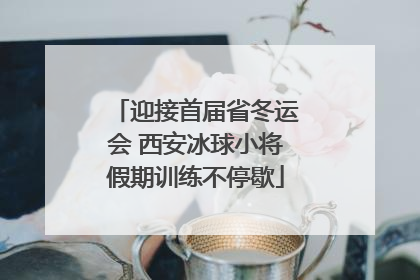 迎接首届省冬运会 西安冰球小将假期训练不停歇