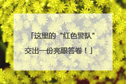 这里的“红色警队”交出一份亮眼答卷！