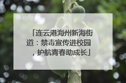 连云港海州新海街道：禁毒宣传进校园，护航青春助成长