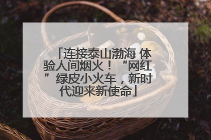 连接泰山渤海 体验人间烟火！“网红”绿皮小火车，新时代迎来新使命