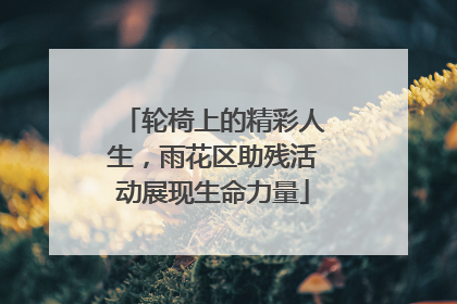 轮椅上的精彩人生，雨花区助残活动展现生命力量