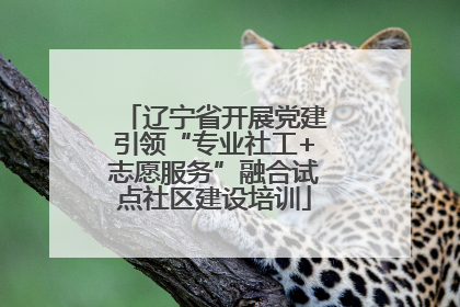 辽宁省开展党建引领“专业社工+志愿服务”融合试点社区建设培训