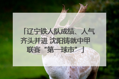 辽宁铁人队成绩、人气齐头并进 沈阳铸就中甲联赛“第一球市”