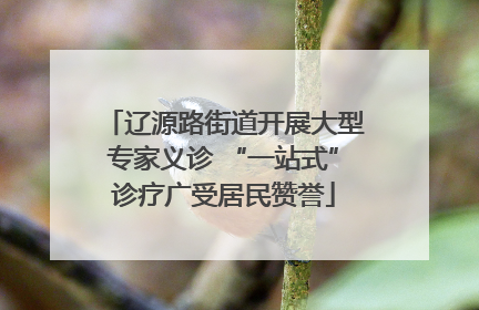辽源路街道开展大型专家义诊 “一站式”诊疗广受居民赞誉