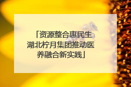 资源整合惠民生 湖北柠月集团推动医养融合新实践