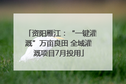 资阳雁江：“一键灌溉”万亩良田 全域灌溉项目7月投用