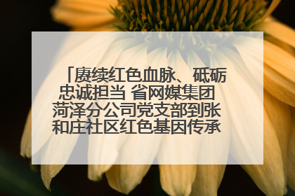 赓续红色血脉、砥砺忠诚担当 省网媒集团菏泽分公司党支部到张和庄社区红色基因传承馆开展主题党日活动