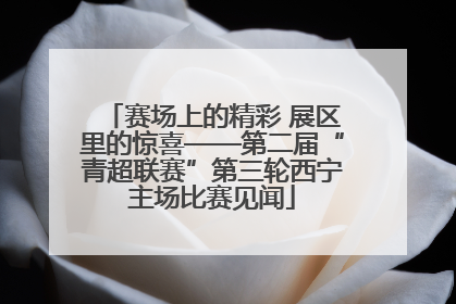 赛场上的精彩 展区里的惊喜——第二届“青超联赛”第三轮西宁主场比赛见闻