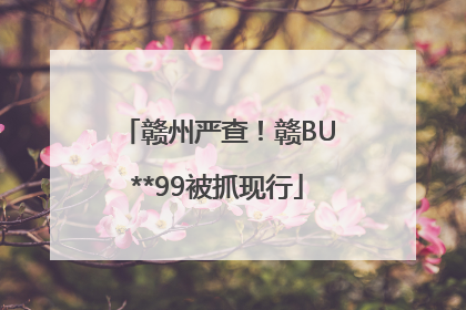 赣州严查！赣BU**99被抓现行