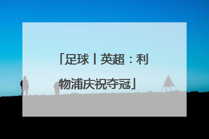 足球丨英超：利物浦庆祝夺冠