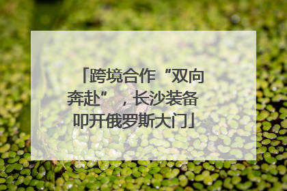 跨境合作“双向奔赴”，长沙装备叩开俄罗斯大门
