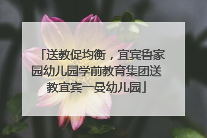 送教促均衡，宜宾鲁家园幼儿园学前教育集团送教宜宾一曼幼儿园