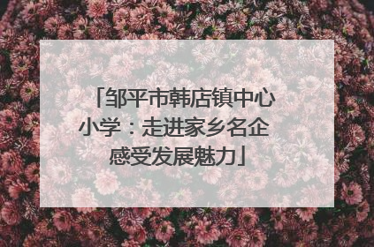 邹平市韩店镇中心小学：走进家乡名企 感受发展魅力