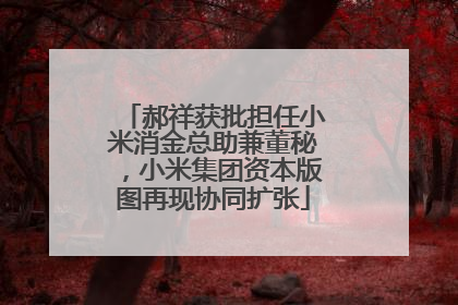 郝祥获批担任小米消金总助兼董秘，小米集团资本版图再现协同扩张