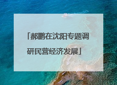 郝鹏在沈阳专题调研民营经济发展