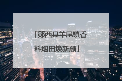 郧西县羊尾镇香料烟田焕新颜