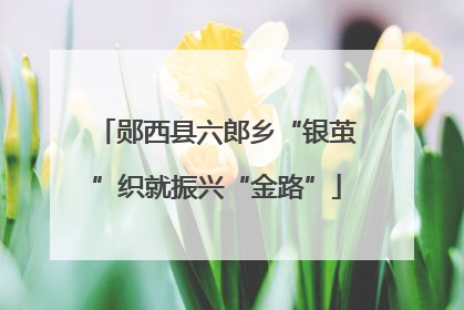 郧西县六郎乡“银茧”织就振兴“金路”
